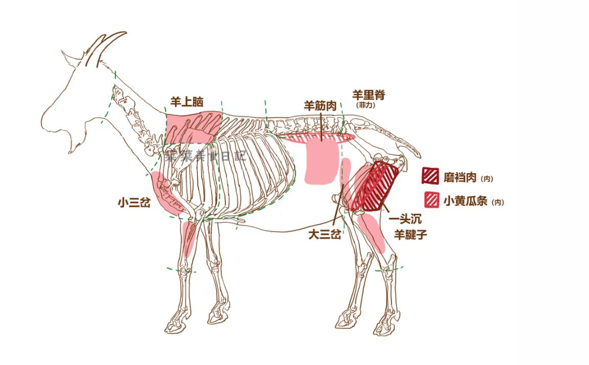 亲身示范 如何辨别真假羊肉 知乎