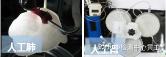 建议收藏|生物医用高分子材料的分类及应用 - 知乎