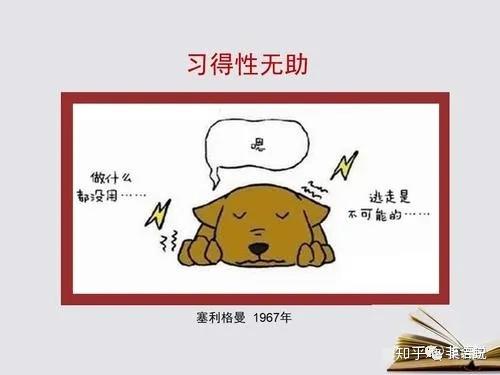 据说现代心理学发现了"习得性无助"和""胜利者效应"两个现象,就是由于