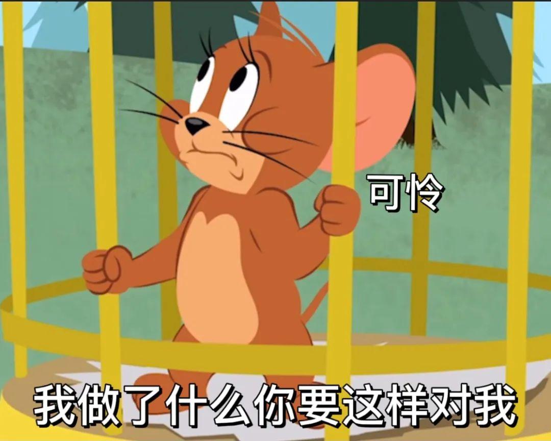 100张猫和老鼠的表情包 - 知乎