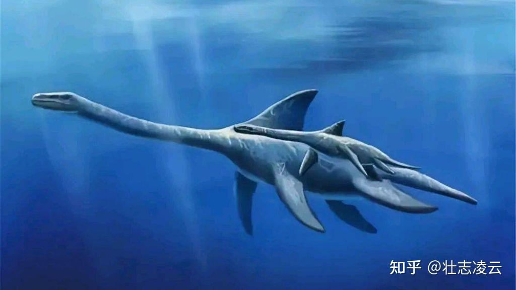 揭秘:传说中的青海湖湖怪是何方神圣?一场跨越69年的神秘探寻之旅