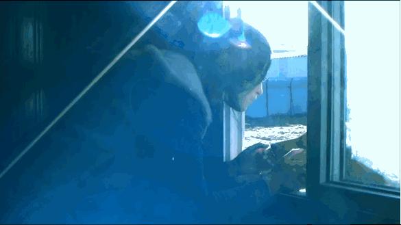 感动千万网友的故事再刷屏:她养大一匹狼,送它重返狼群_https://www.izongheng.net_快讯_第11张