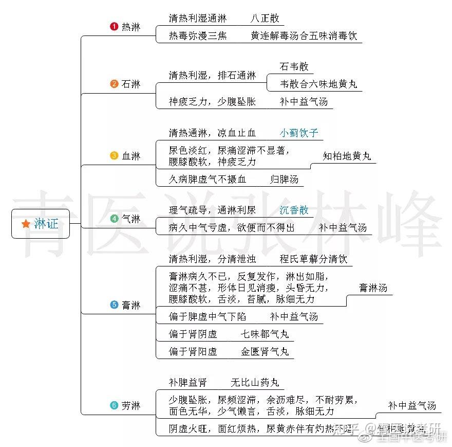 中内 55 病证超全思维导图,一篇用到考前!