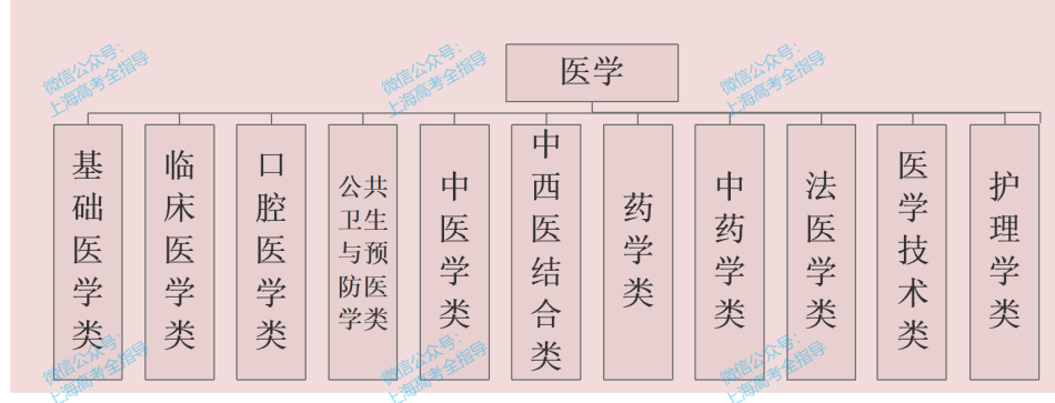 2020沪上医学专业录取分一览! - 知乎