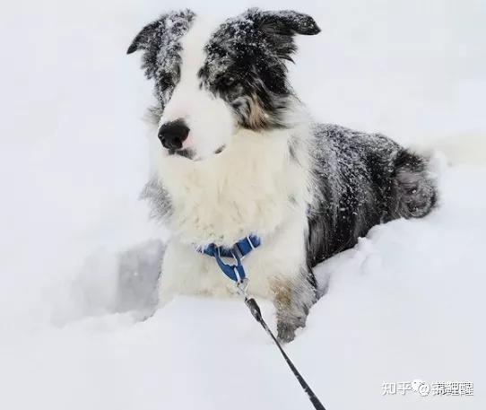 EB1A弱case成功分享（3）：130引用PP批准，中国MD，无美国经历。 - 知乎