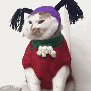 沙雕表情包|搞笑gif逗比沙雕图片|可爱沙雕小表情包|沙雕斗图表情包