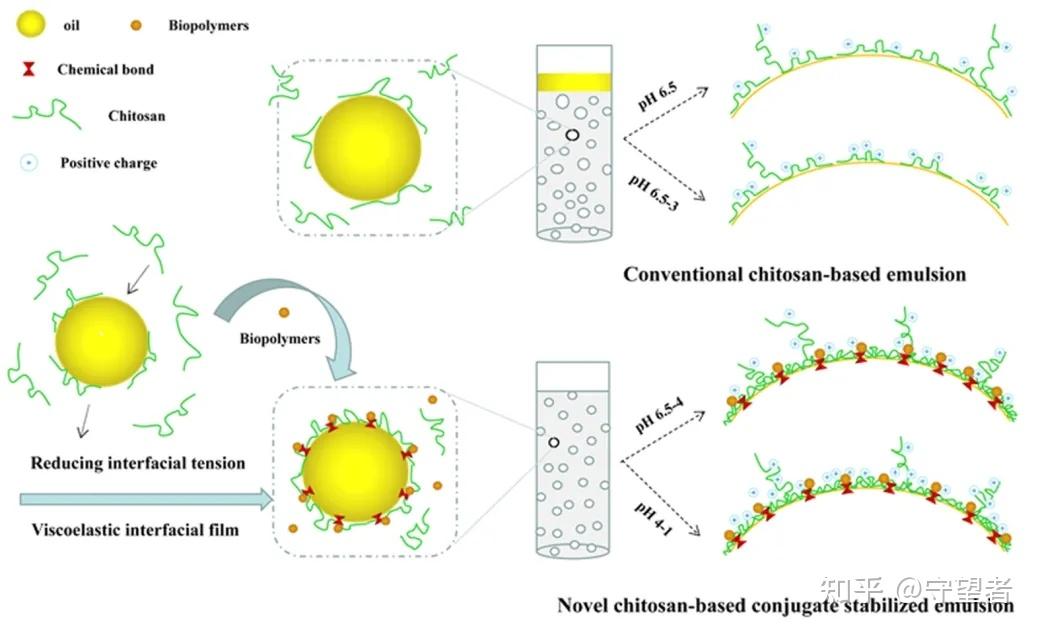 Food Chemistry：壳聚糖基共轭物的形成机理和功能性及其在o/w乳液系统中的应用 知乎