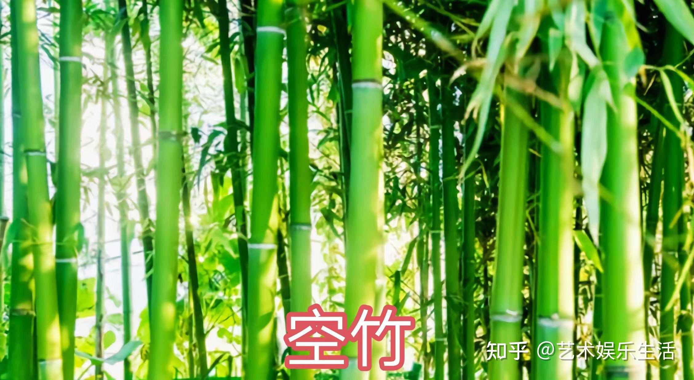禾本科竹亚科的37种代表植物 - 知乎