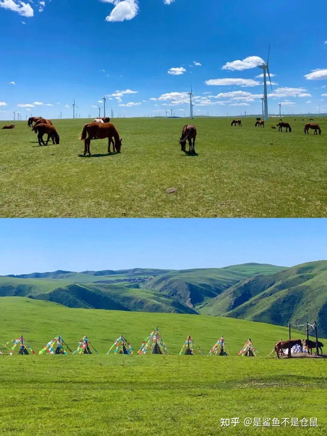 一个人去内蒙古旅游预算要多少钱？内蒙古旅游费用清单 - 知乎