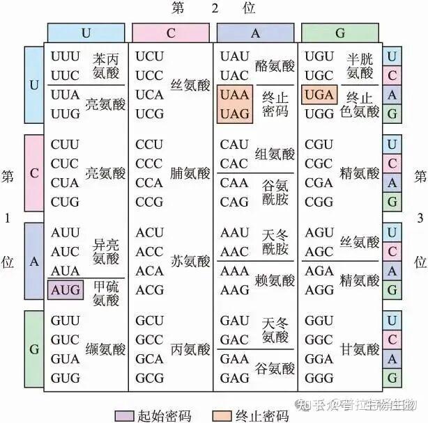 PCR实验原理及实验步骤的设计分析(非常适合初学者) - 知乎