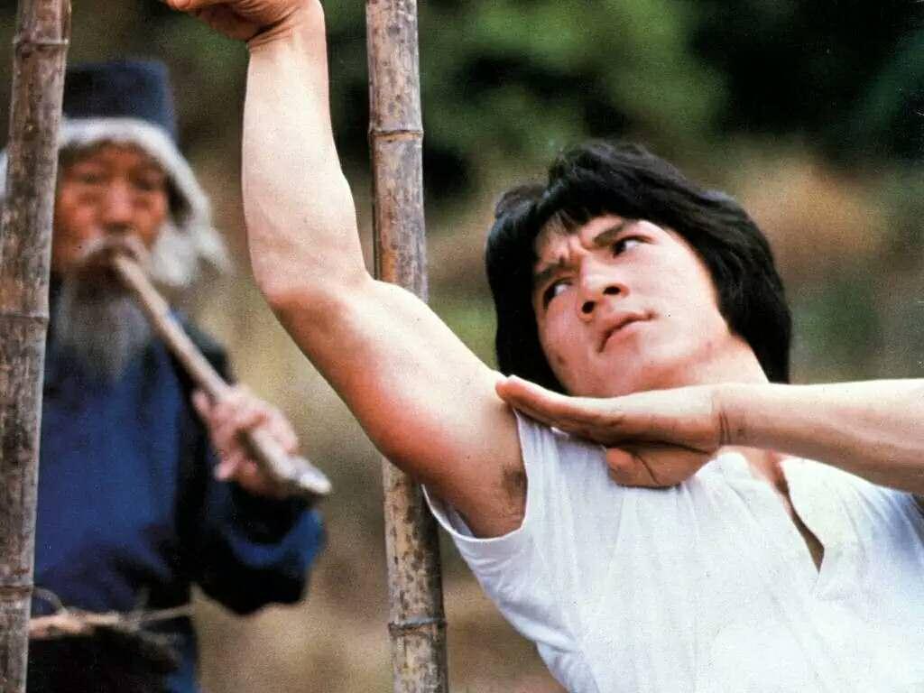 成龙还拍过一个关于象形拳的一个经典电影《蛇形刁手》「螳螂拳」比如
