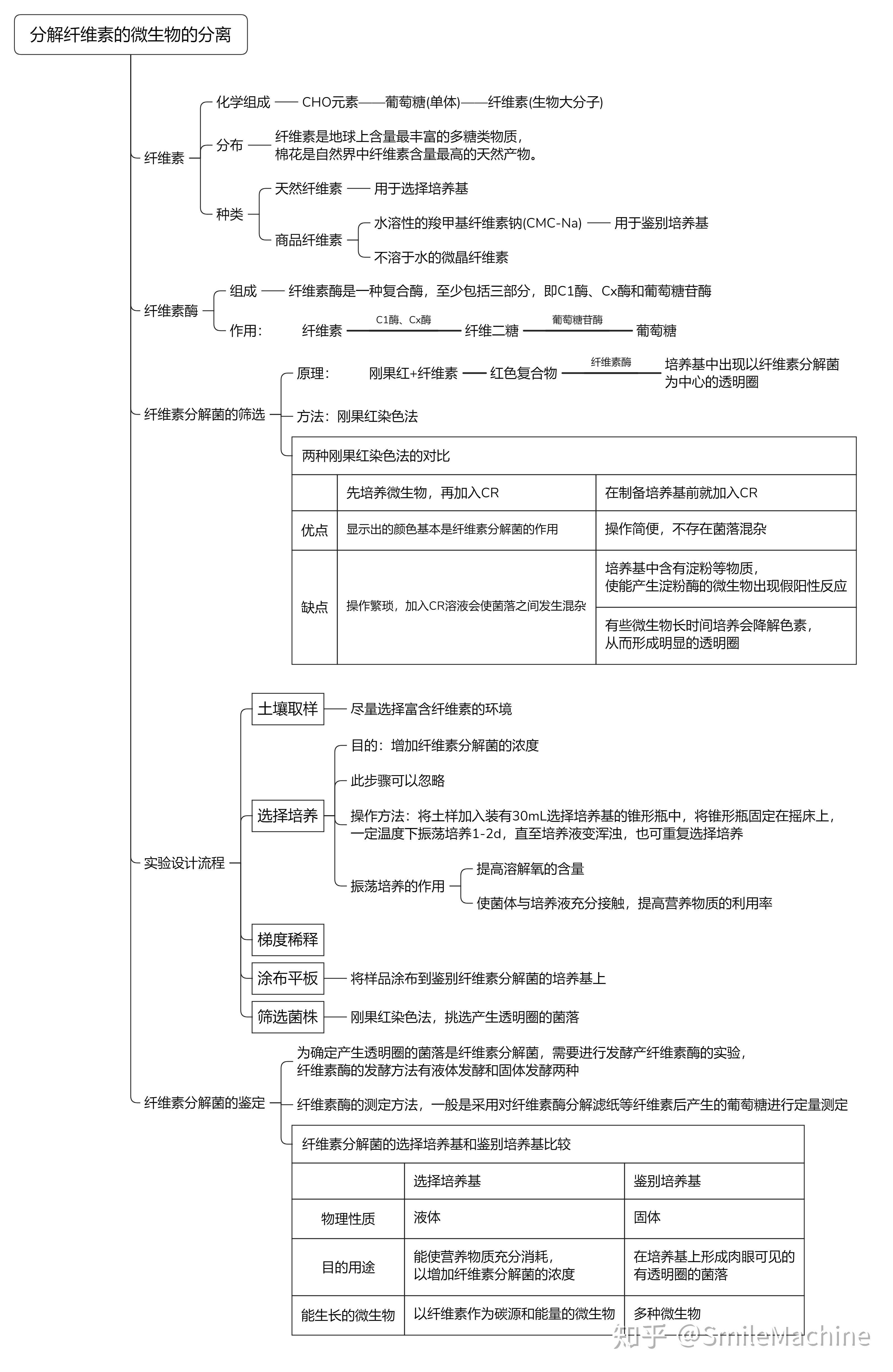 微生物思维导图高中图片