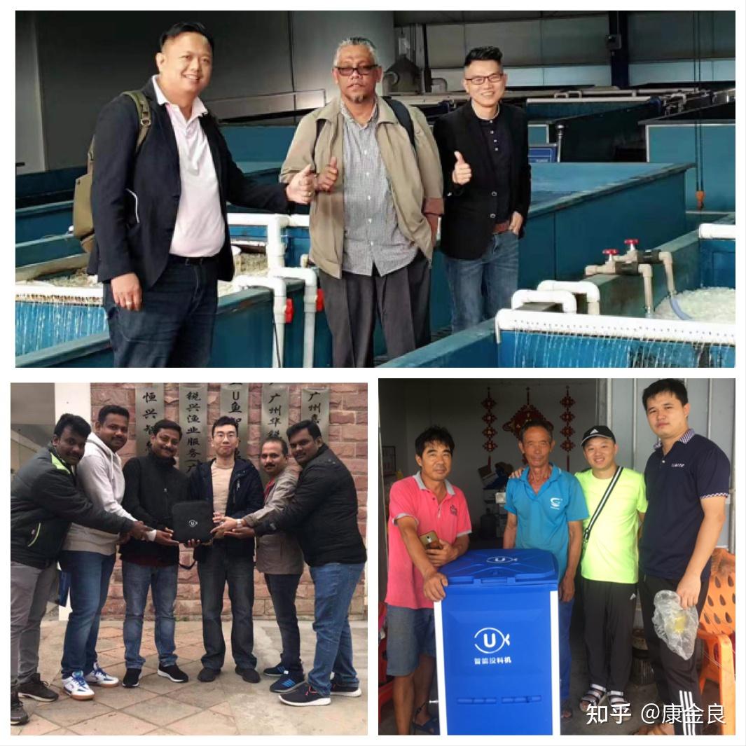 奥鱼科技 青岛故事牛!澳大利亚人来青学习澳“国宝鱼”育种技术!墨瑞鳕鱼实现国产替代