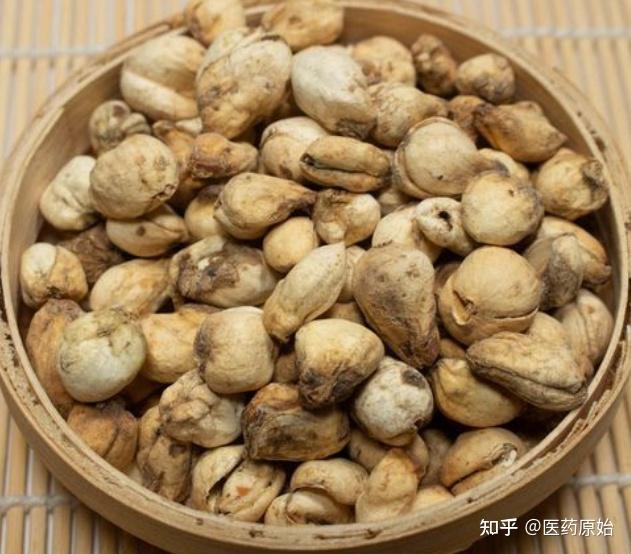 带你识别伊贝母