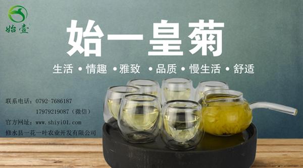 金丝皇菊市场价格行情
