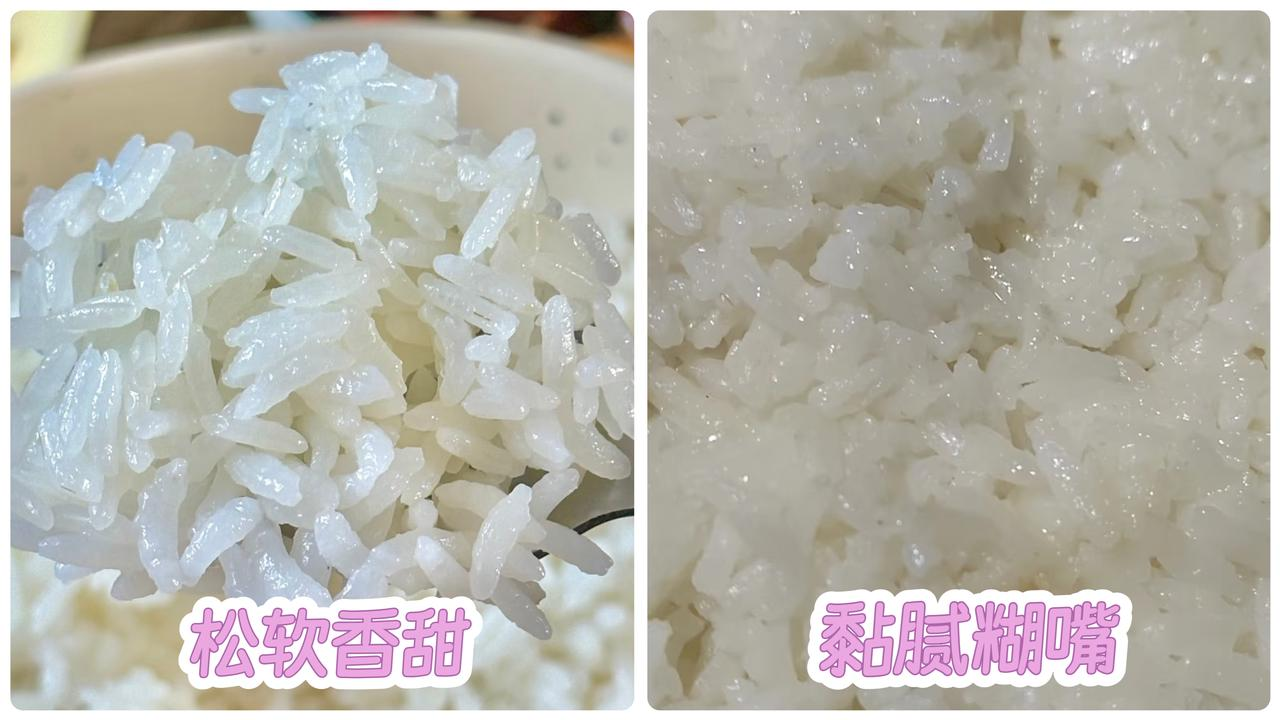 【2026年618电饭煲推荐】电饭煲选购全攻略:电饭煲怎么挑才不踩坑?千元电饭煲和普通电饭煲到底差在哪?附3款苏泊尔电饭煲实测对比推荐