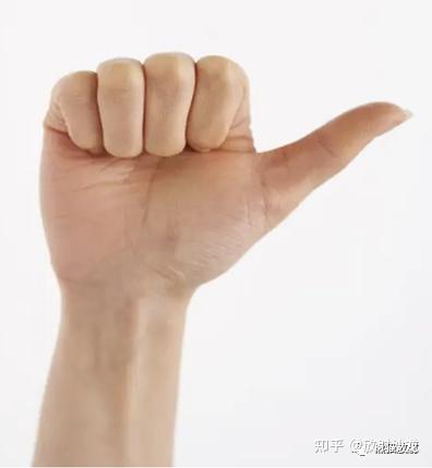 胎儿MRI丨学习用“右手法则”判定胎儿的左右方位 - 知乎