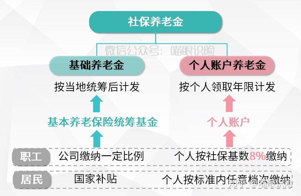 养老保险的构成图片