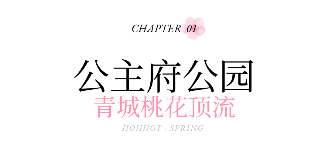 别错过！呼和浩特赏花打卡地来了，随手一拍都是大片！