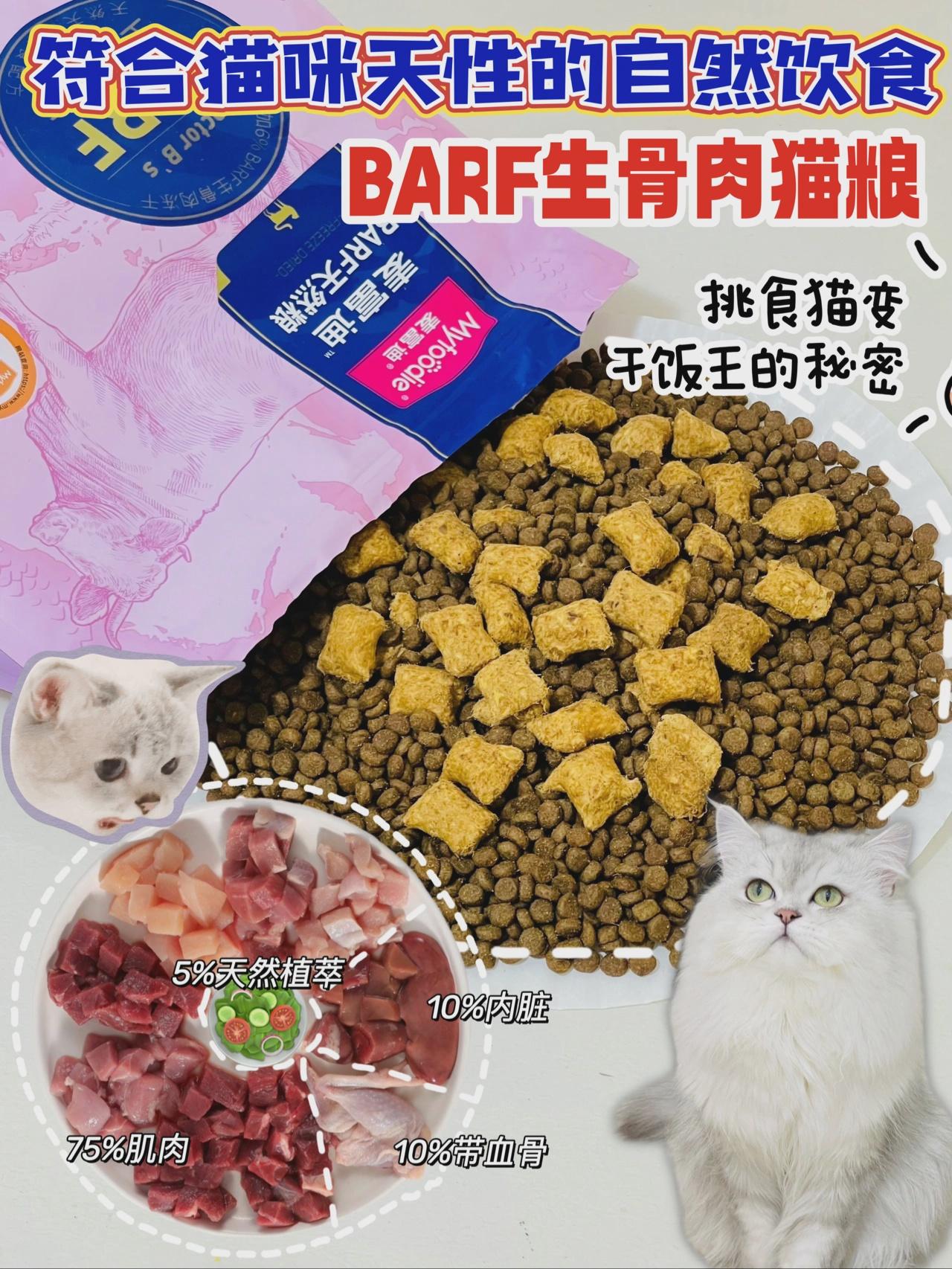 猫开脚是什么意思啊?关于公猫开脚,母猫侧躺不懂的来 - 知乎
