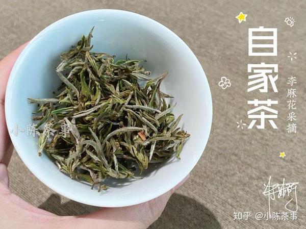 老茶客分享的4个茶界冷知识 学茶有章可循 新手轻松进阶成老饕 知乎