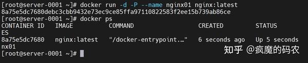 docker-ping