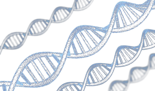 美容多肽对皮肤应用 - 知乎