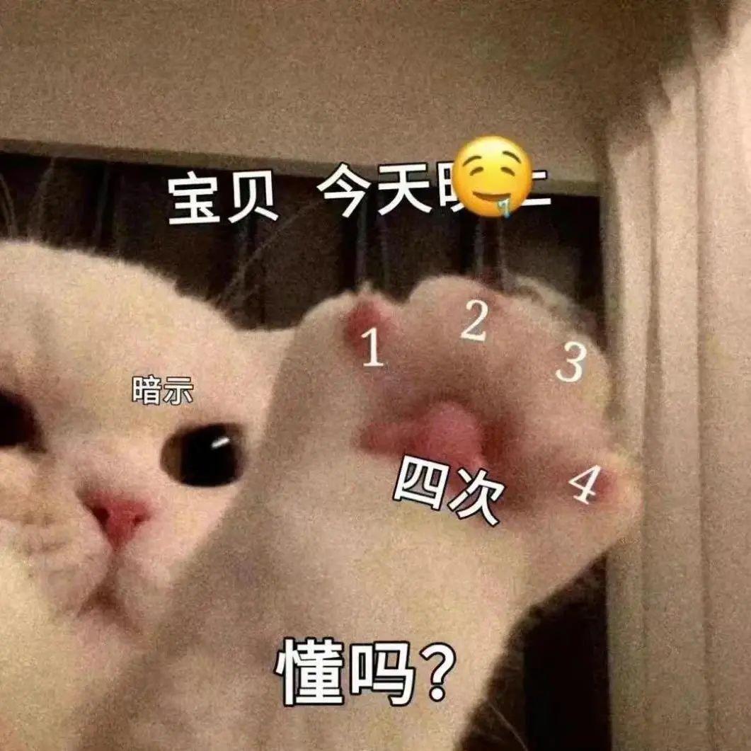 骚猫|可爱|涩涩（色色）|情侣|发牢骚表情包 - 知乎