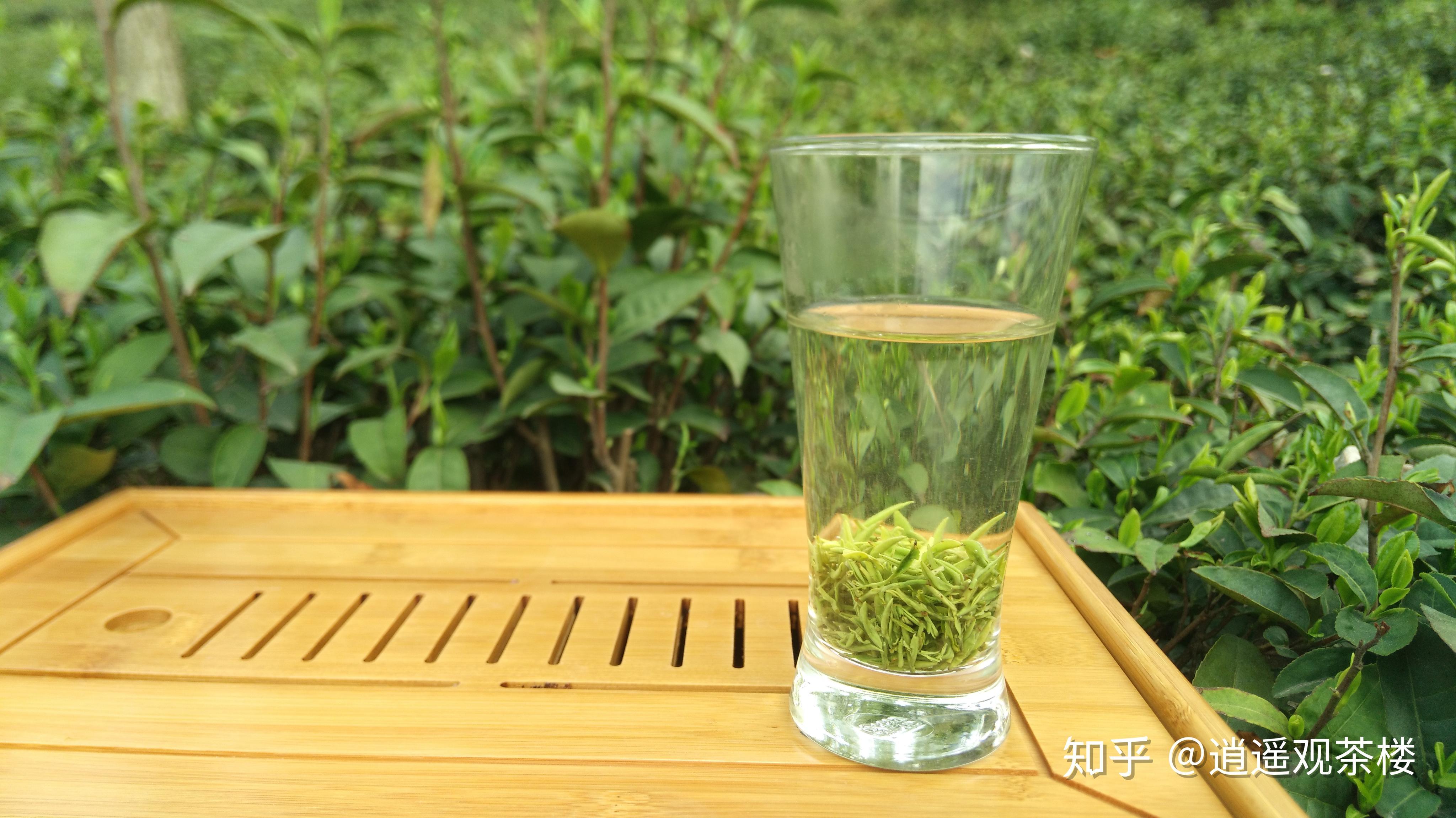 v2-62dcaade19531a4921ac0c53fdefc0d3_r.jpg