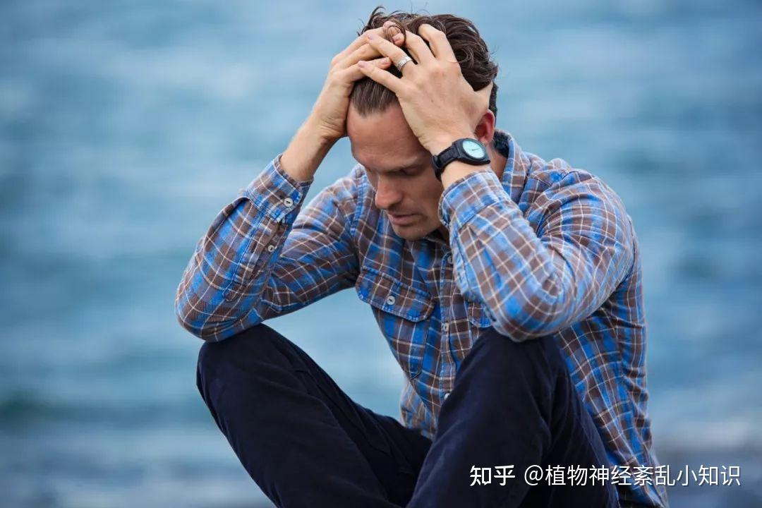 关于神经元的一些知识 - 知乎