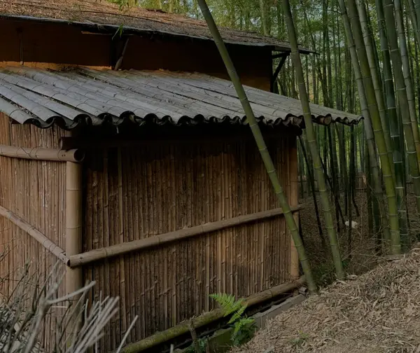 望云:关于这个审美,我是比较崇尚自然.