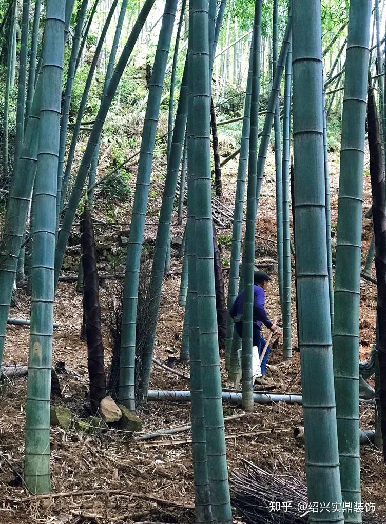 感謝老何的款待,感謝金溪村美麗的風景,感謝大自然給予的饋贈,感謝