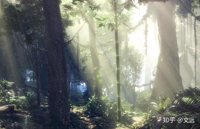 十年孤竹生长在受国家保护的魂兽养殖区---猎魂森林,这里有着各色各样