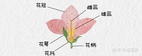 神奇的大自然——走进庆安乐儿堡幼儿园大班幼儿主题课程故事 - 知乎