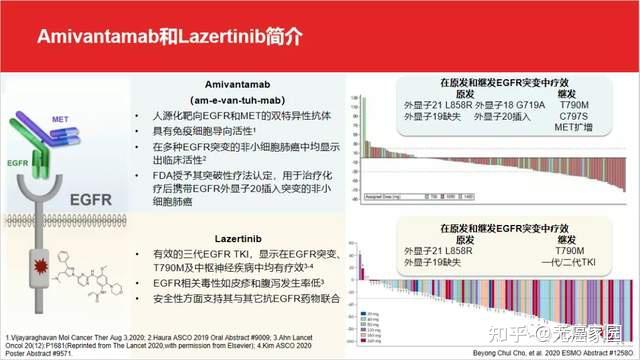 國內外多癌種靶向藥大集結難治罕見靶點新靶點一網打盡臨床招募火熱