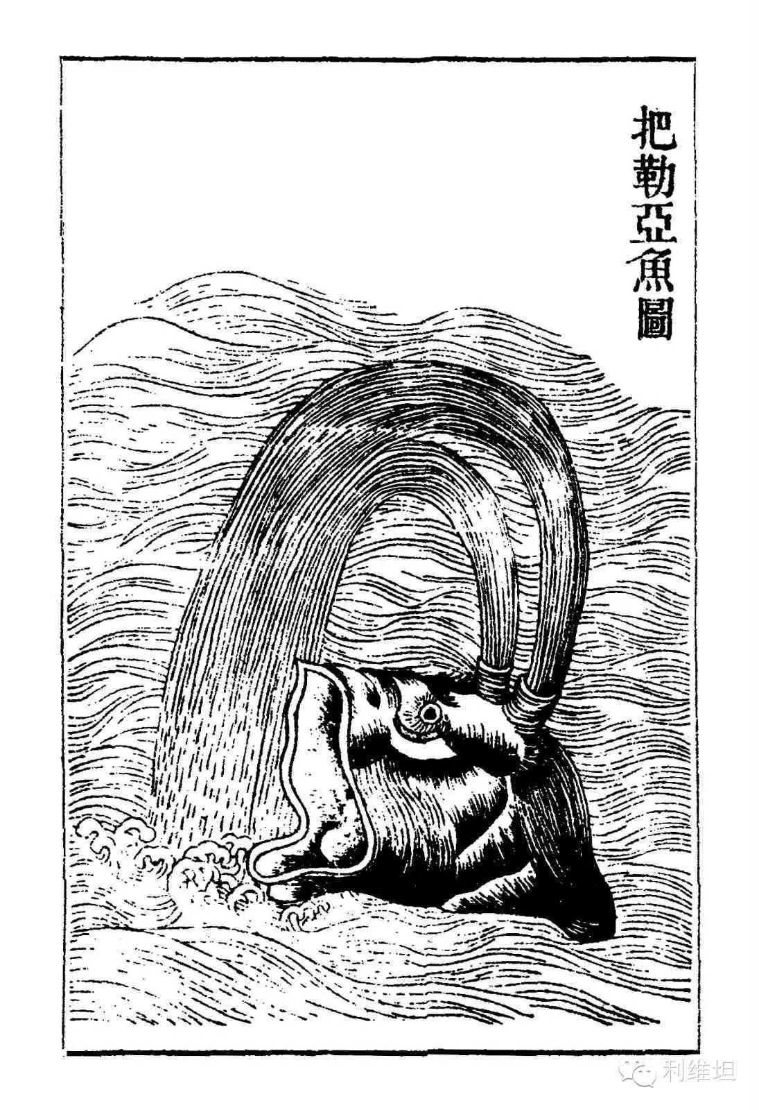 早在公元二世纪,身在东晋的博物学家郭璞在批注《山海经》时,不无感慨