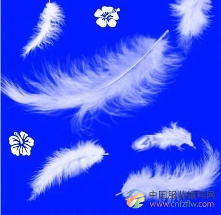 中华神禽志 总述 (十八)你不知道的羽毛诞生神话和它们的种类 - 知乎