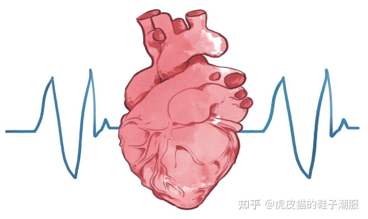 有趣冷知識心臟每天跳動多少次