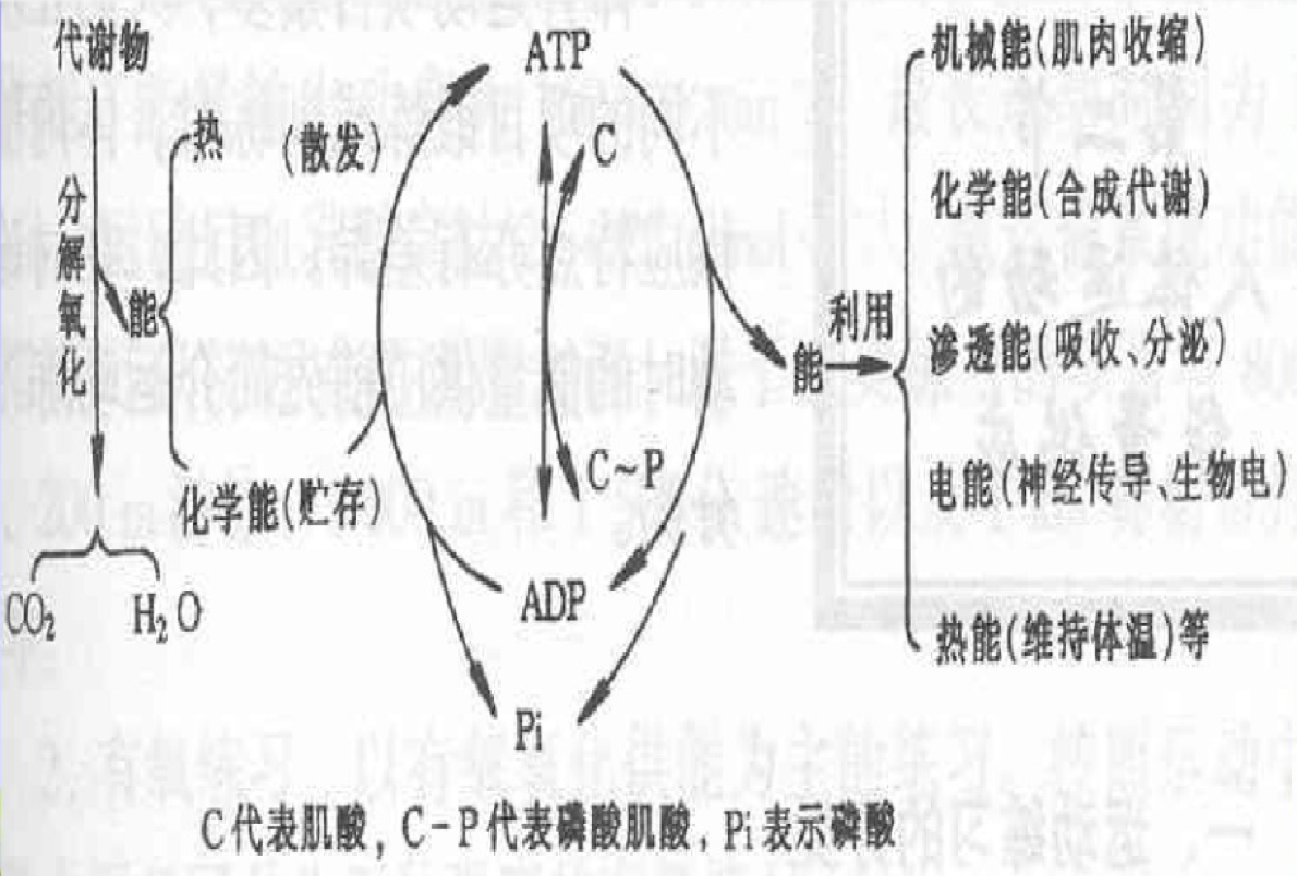 v2-635a8160c37f6d859d2e7c89a186b8b7_r.jpg