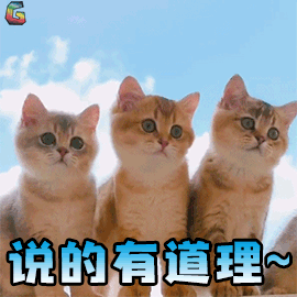 奶猫什么的就更没有抵抗力了