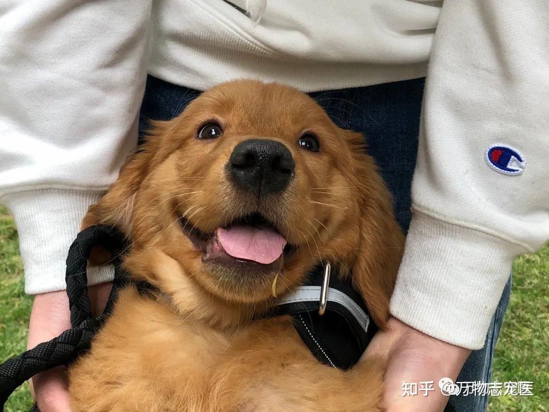 siri再也回不到家见到最爱的妈妈了