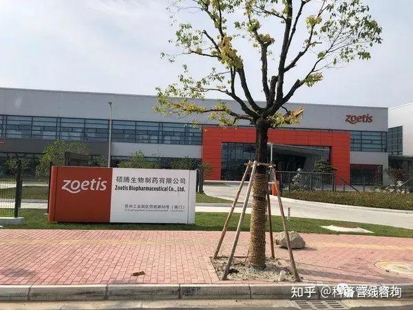 解码宠物行业巨无霸企业,硕腾何以成就全球动保龙头? - 知乎