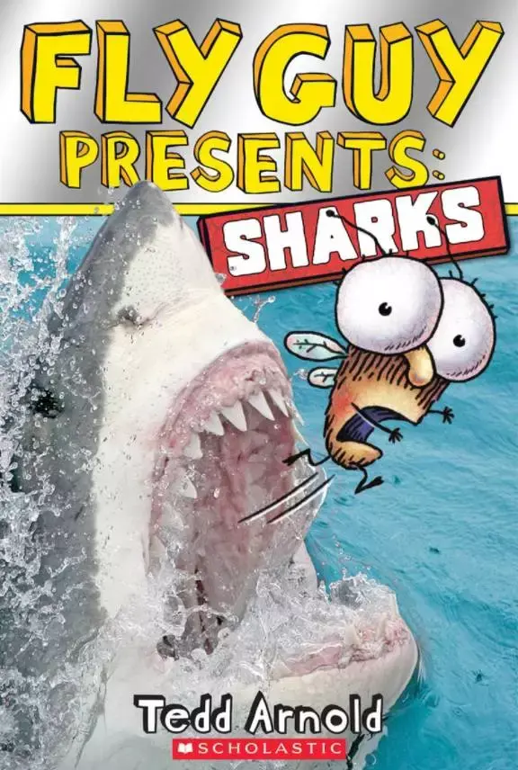 《眼睛:为什么我们可以看到》eye: how it works10适读年龄