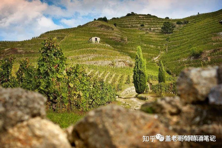 硬核知识法国罗纳河谷rhonevalley葡萄酒产区知识法国葡萄酒aoc分级