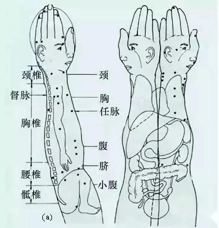 颈椎对应反射区位置图图片