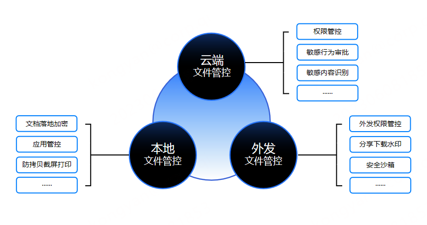 文县巩亮图片