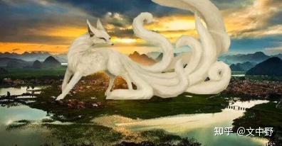 真实存在的青丘国九尾狐- 知乎