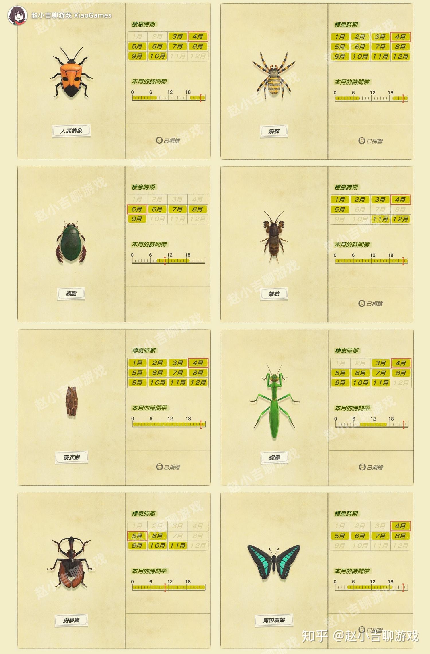 动森生物图鉴虫类图片