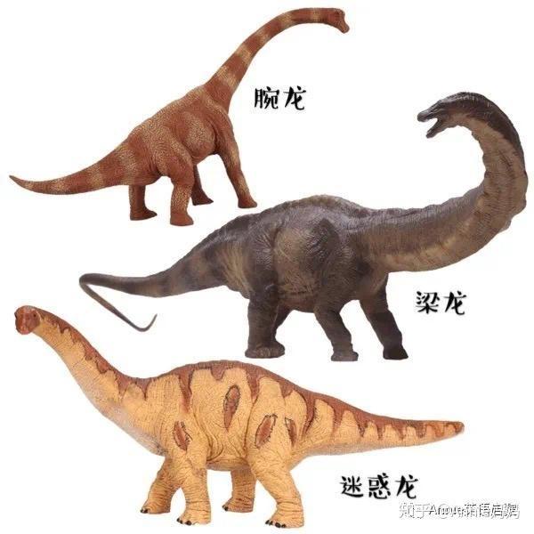 恐龙的外形特点图片