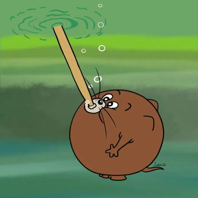 适合做qq头像的文艺图片